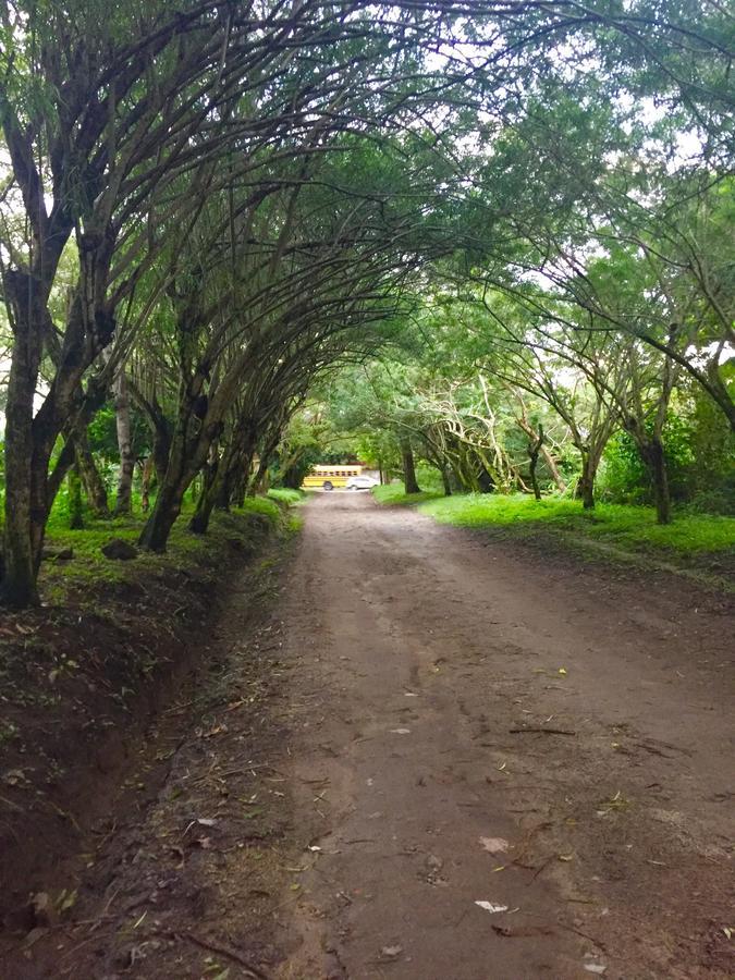 Refugio De La Montana B&B ซานเปโดร ซูลา ภายนอก รูปภาพ